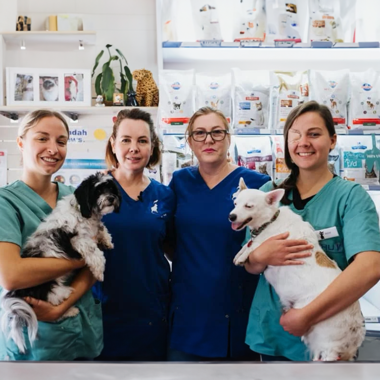 cleveland veterinary clinic team